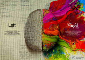 Mozek hemisféry